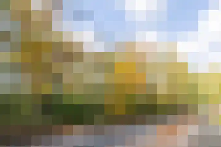 Julianastraat 42 Rijen thumbnail 41