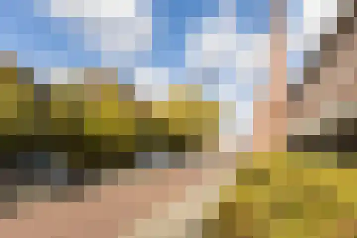 Julianastraat 42 Rijen thumbnail 6
