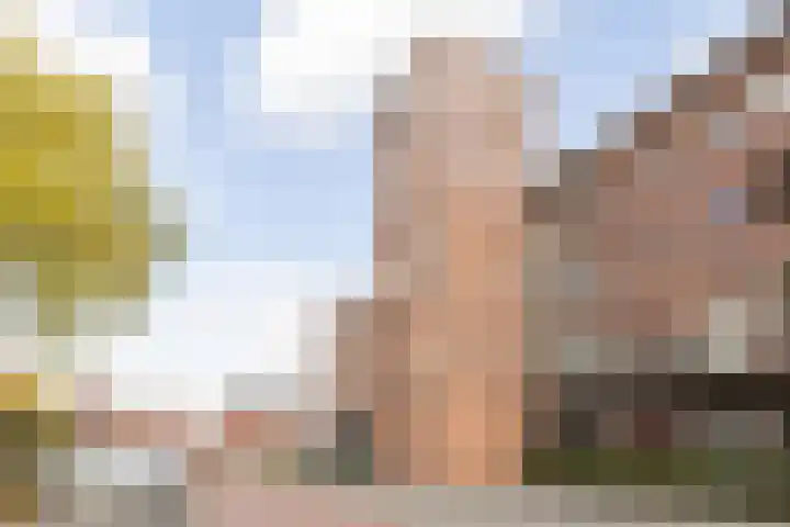 Julianastraat 42 Rijen thumbnail 7