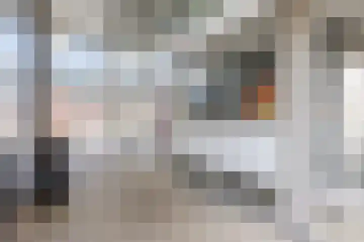 Julianastraat 42 Rijen thumbnail 9