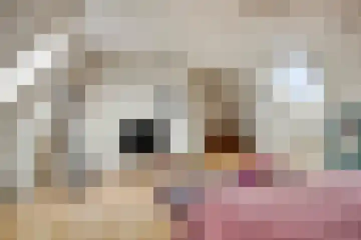 Julianastraat 43 Asten thumbnail 21