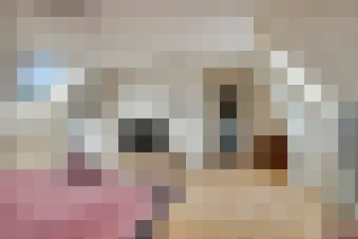Julianastraat 43 Asten thumbnail 22