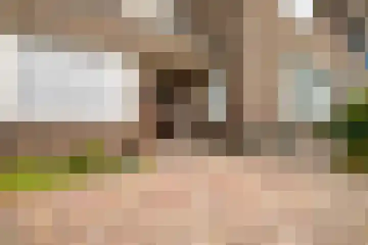 Julianastraat 43 Asten thumbnail 31