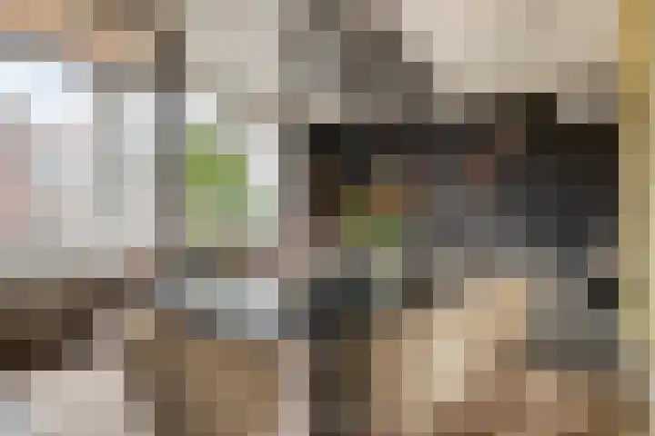 Julianastraat 43 Asten thumbnail 4