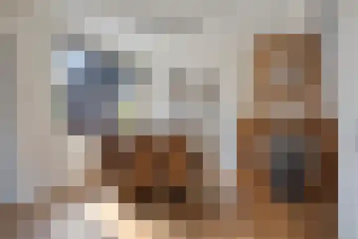 Julianastraat 43 Berghem thumbnail 10