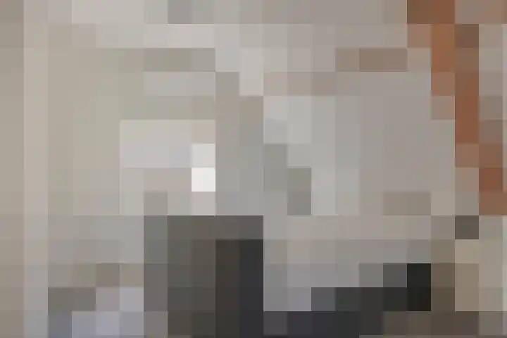 Julianastraat 43 Berghem thumbnail 15