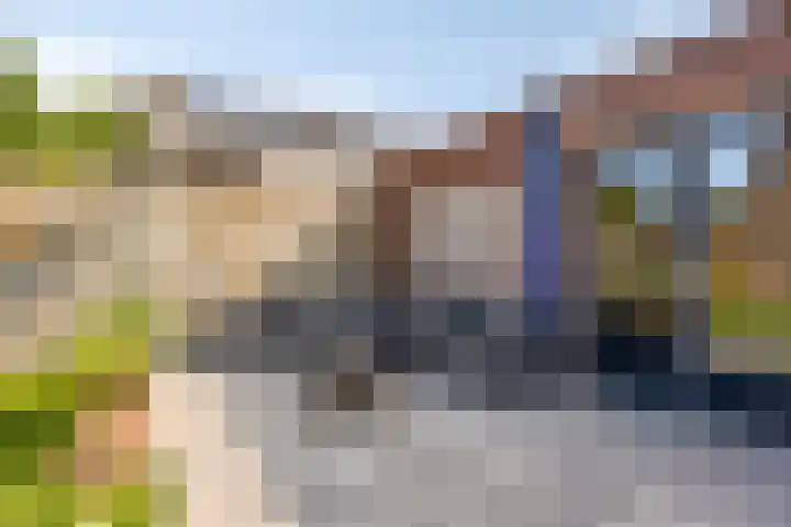 Julianastraat 43 Berghem thumbnail 23