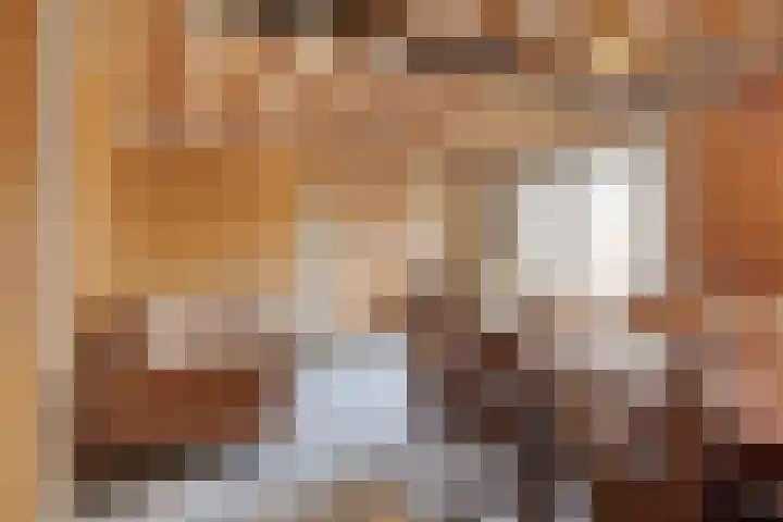 Julianastraat 43 Berghem thumbnail 25