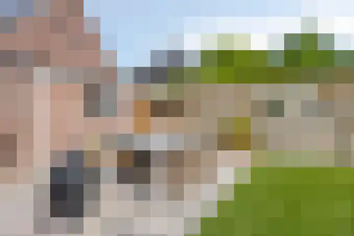 Julianastraat 43 Berghem thumbnail 28