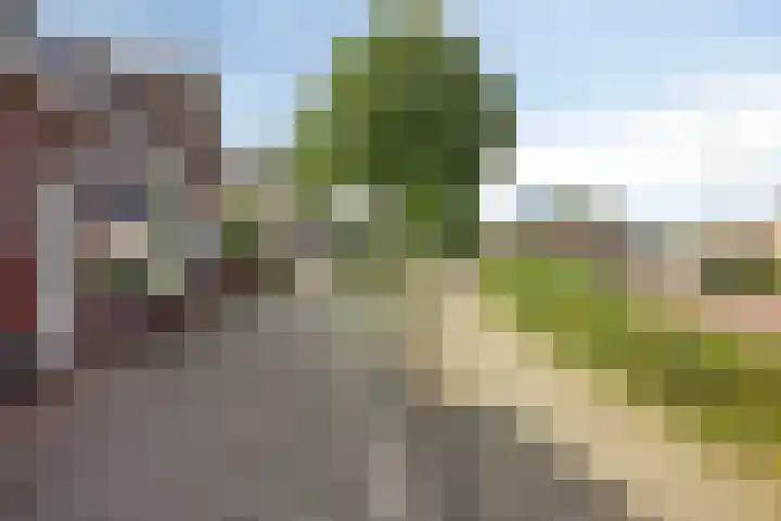 Julianastraat 43 Berghem thumbnail 31