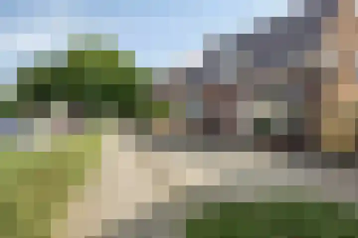 Julianastraat 43 Berghem thumbnail 32