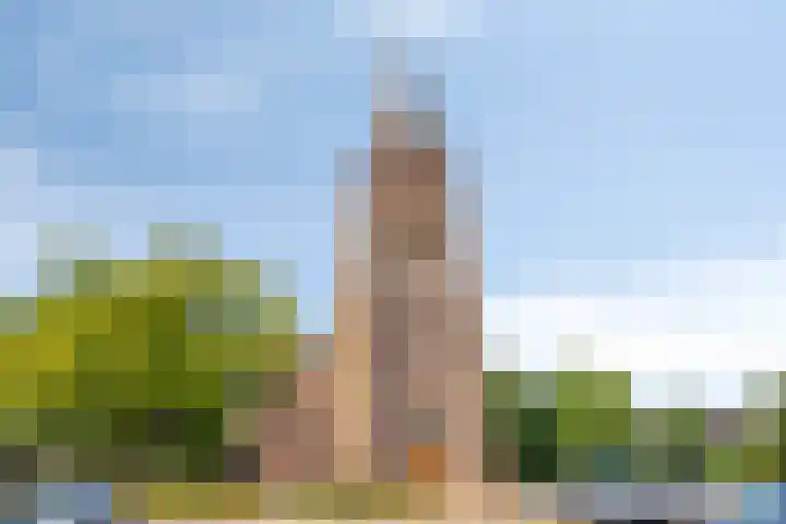 Julianastraat 43 Berghem thumbnail 34