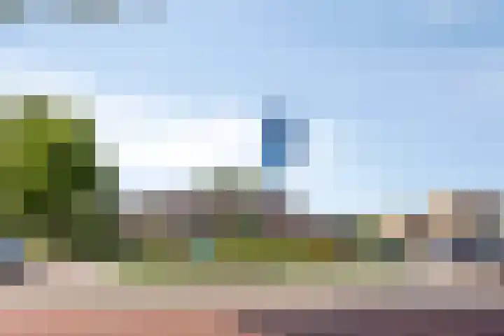 Julianastraat 43 Berghem thumbnail 35