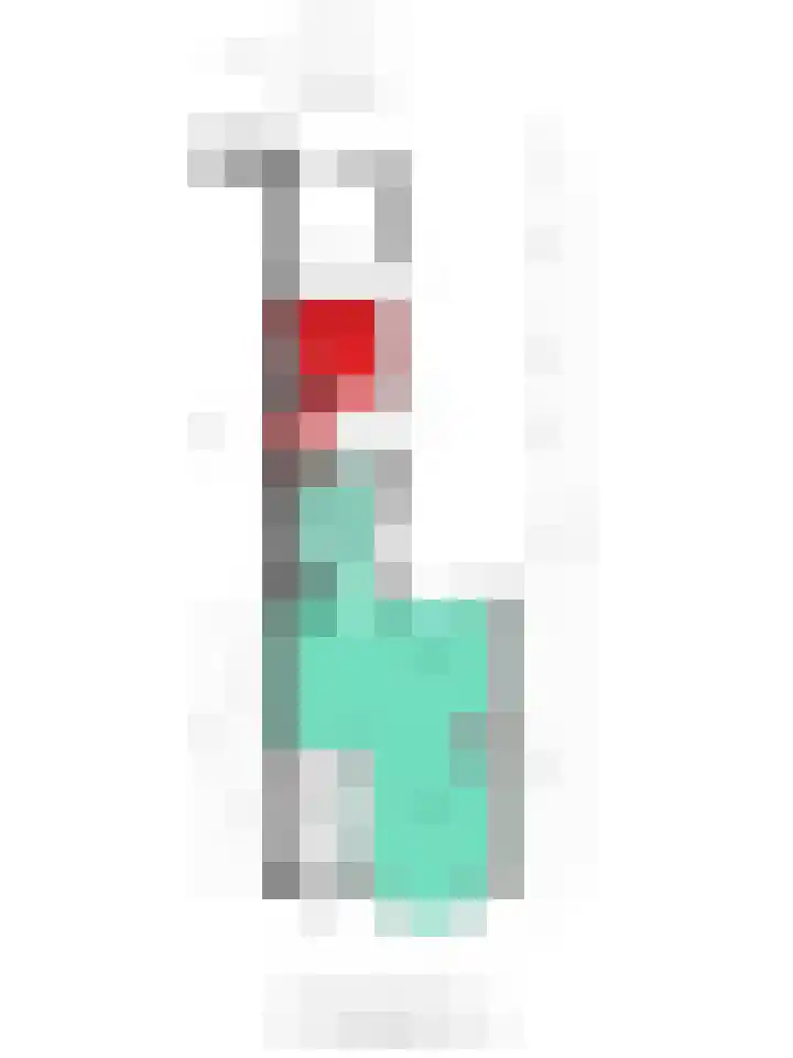 Julianastraat 43 Berghem thumbnail 37