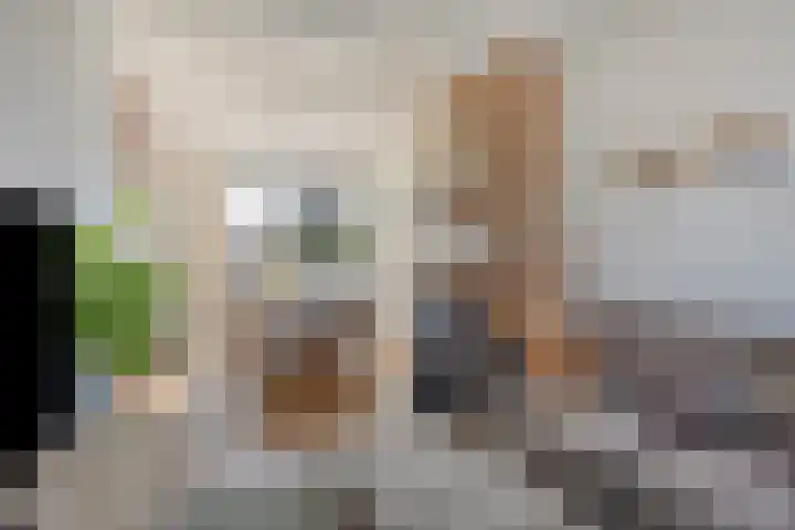Julianastraat 43 Berghem thumbnail 4