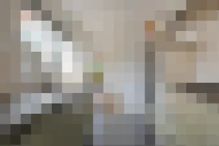 Julianastraat 43 Berghem thumbnail 5