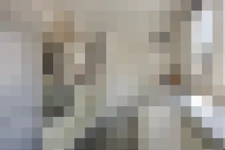 Julianastraat 43 Berghem thumbnail 6