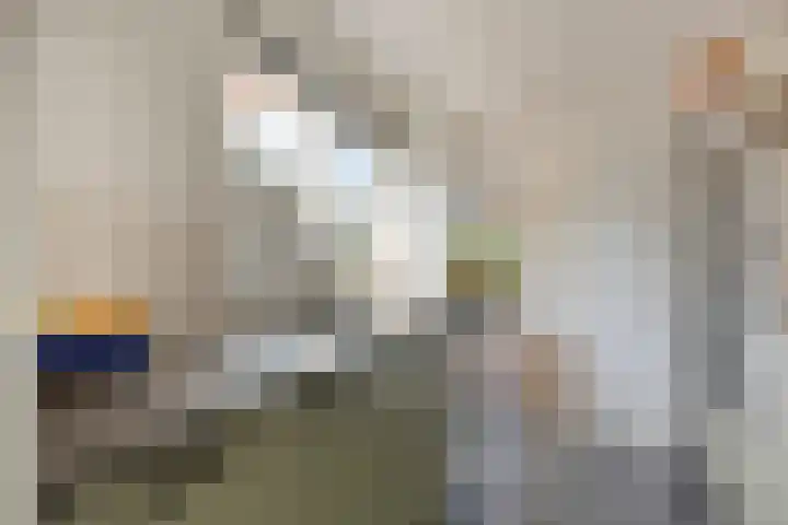 Julianastraat 43 Berghem thumbnail 7