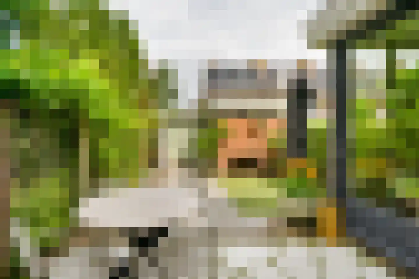 Julianastraat 43 Halfweg thumbnail 17