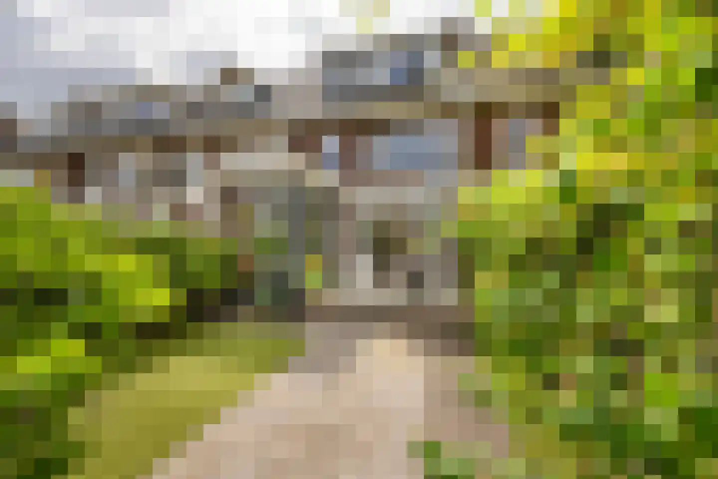 Julianastraat 43 Halfweg thumbnail 18