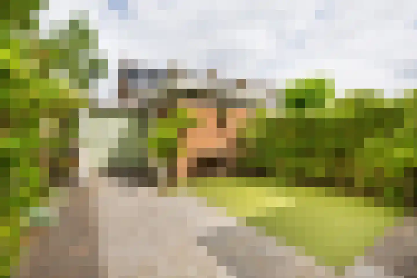 Julianastraat 43 Halfweg thumbnail 19