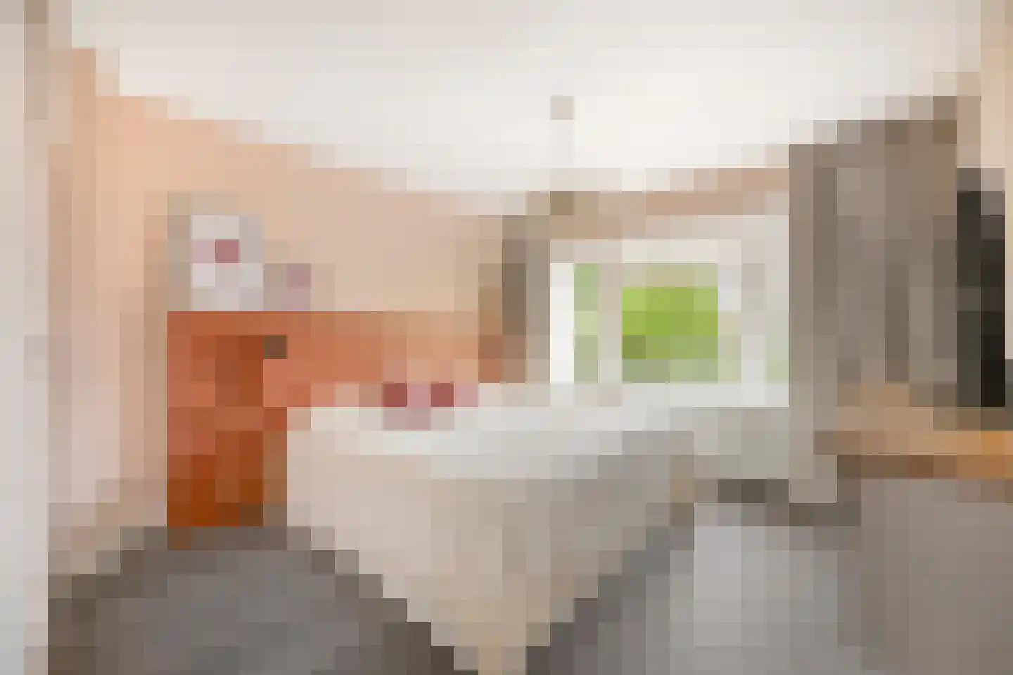 Julianastraat 43 Halfweg thumbnail 24