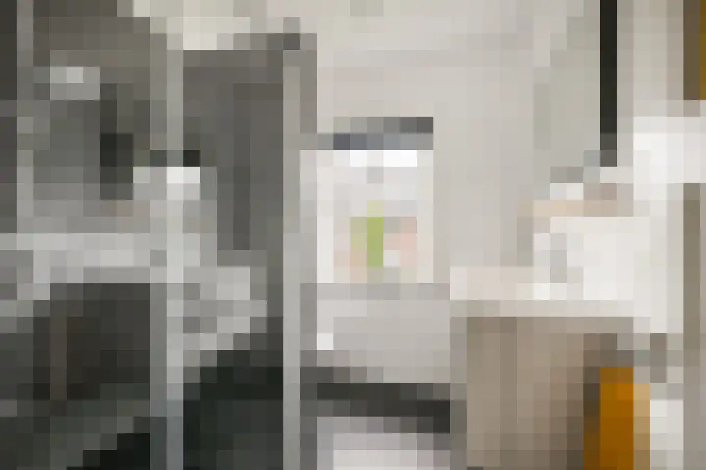 Julianastraat 43 Halfweg thumbnail 30