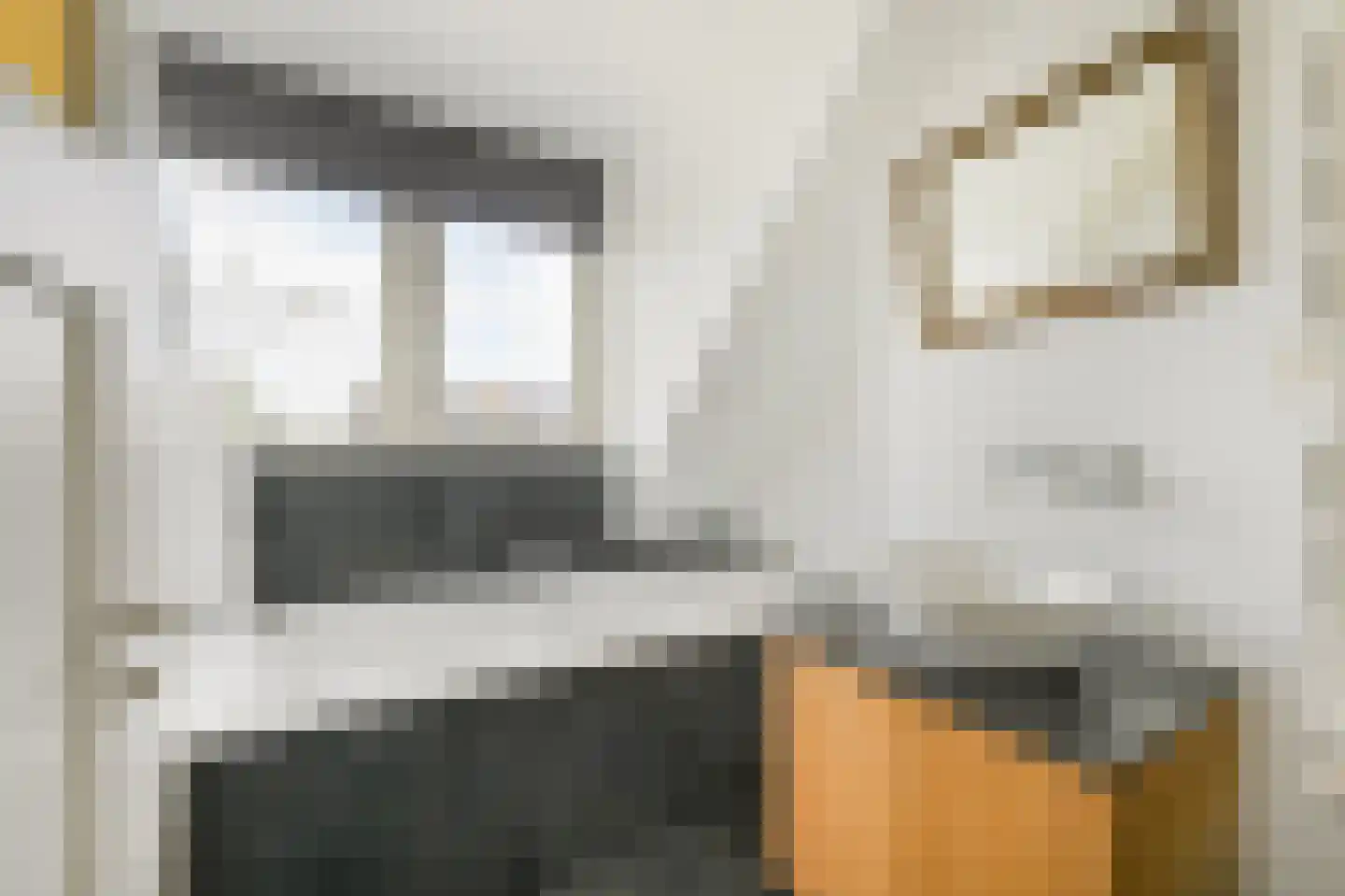 Julianastraat 43 Halfweg thumbnail 32
