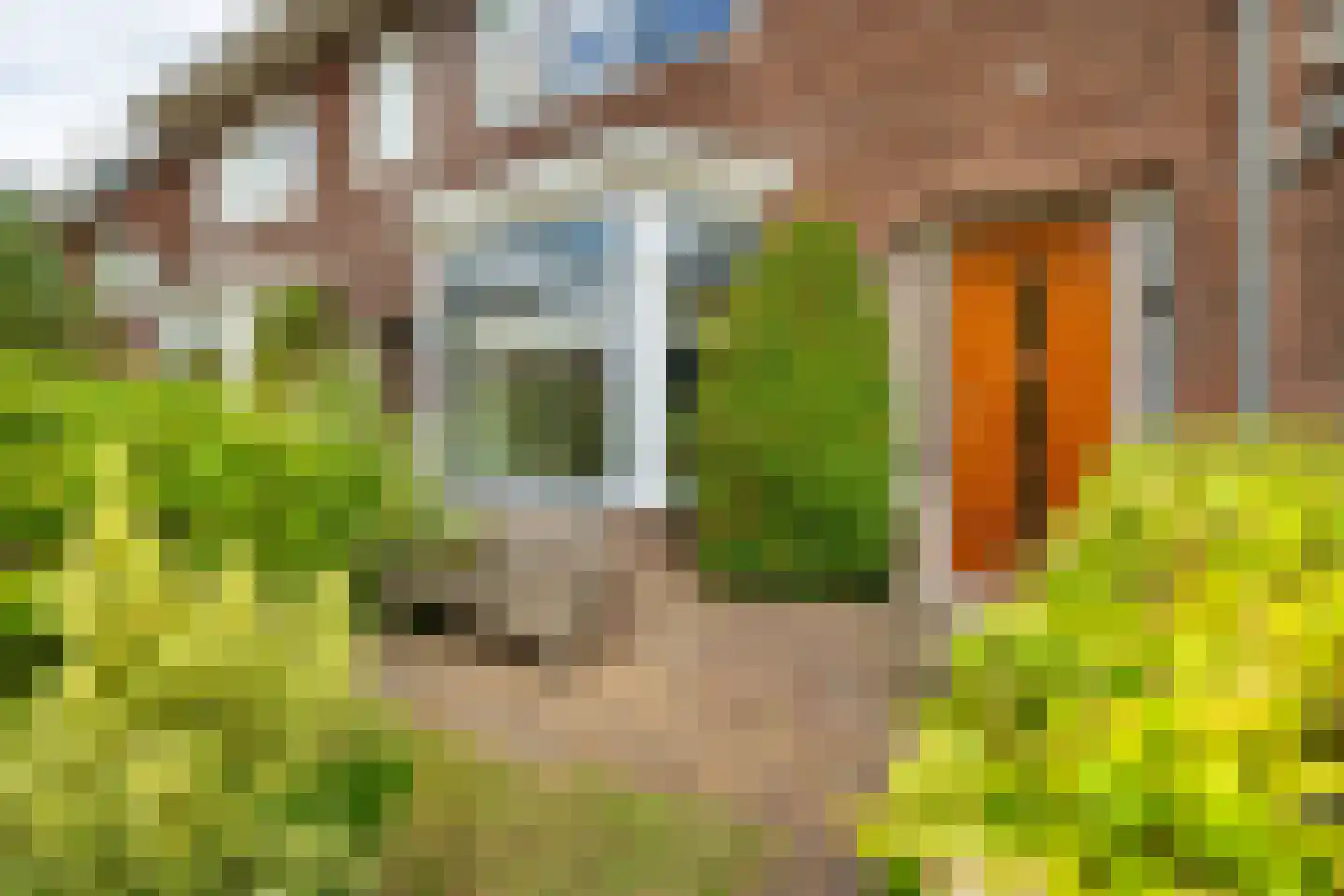 Julianastraat 43 Halfweg thumbnail 33