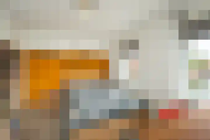 Julianastraat 44 a Enter thumbnail 15
