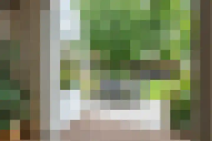 Julianastraat 44 a Enter thumbnail 19