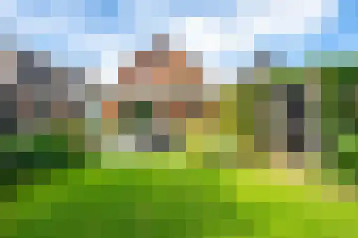 Julianastraat 44 a Enter thumbnail 20