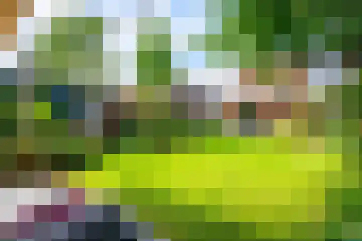 Julianastraat 44 a Enter thumbnail 21
