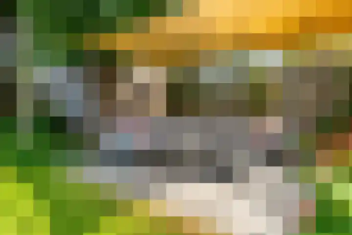 Julianastraat 44 a Enter thumbnail 22