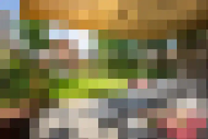 Julianastraat 44 a Enter thumbnail 23