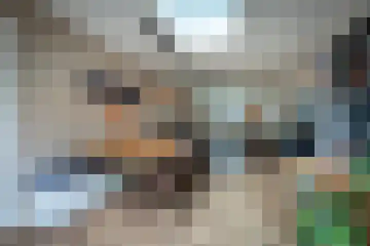Julianastraat 44 a Enter thumbnail 7