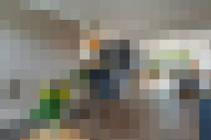 Julianastraat 44 a Enter thumbnail 8