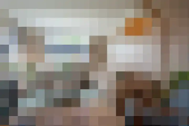 Julianastraat 44 a Enter thumbnail 9
