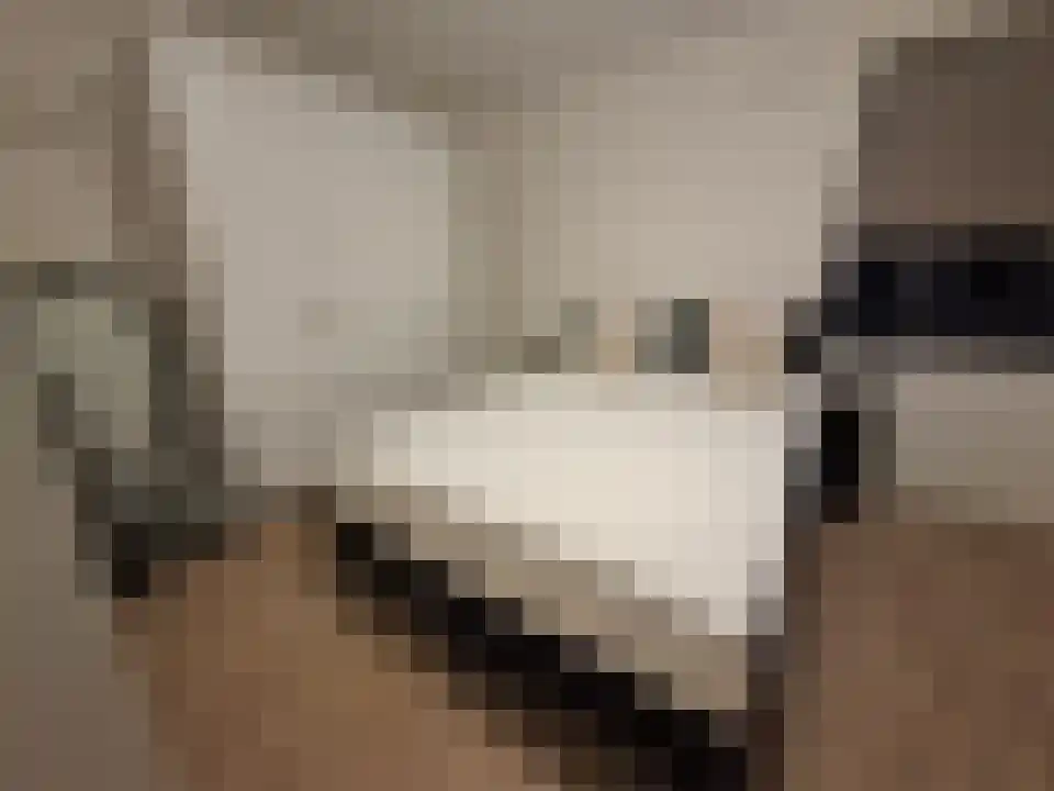 Julianastraat 44 Alkmaar thumbnail 5