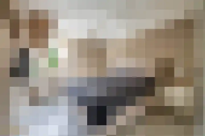 Julianastraat 44 Belfeld thumbnail 12