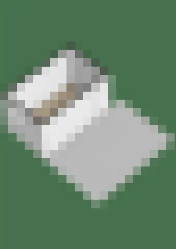 Julianastraat 44 Belfeld thumbnail 30