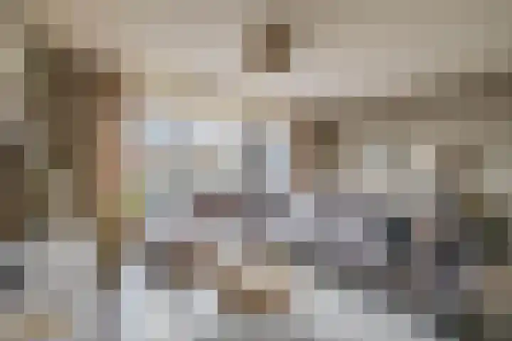 Julianastraat 44 Belfeld thumbnail 4