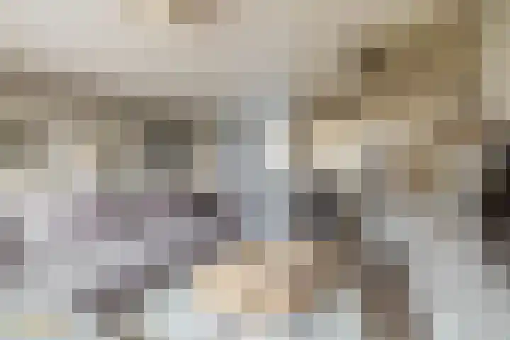 Julianastraat 44 Belfeld thumbnail 5