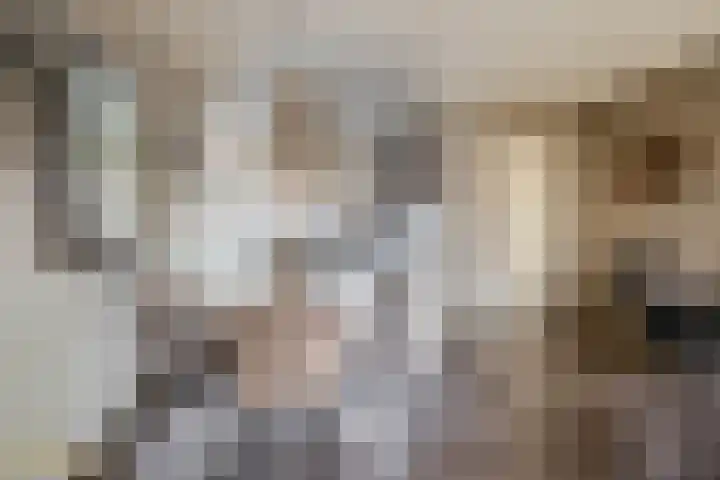 Julianastraat 44 Belfeld thumbnail 6
