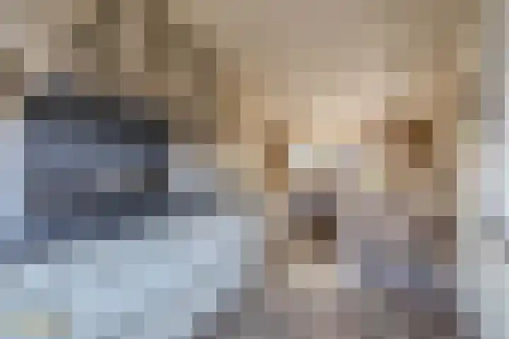 Julianastraat 44 Belfeld thumbnail 9