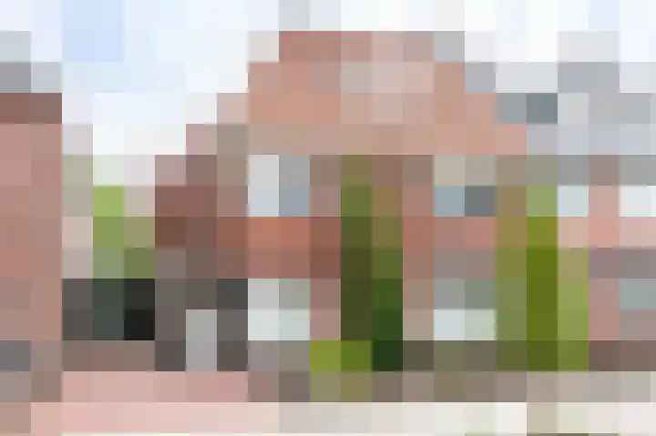 Julianastraat 45 dans Brunssum