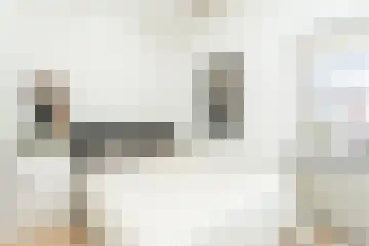Julianastraat 45 Brunssum thumbnail 28