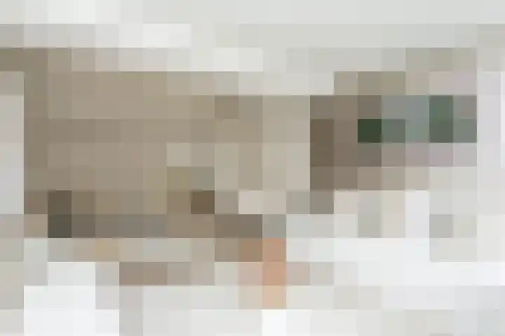 Julianastraat 45 Brunssum thumbnail 38