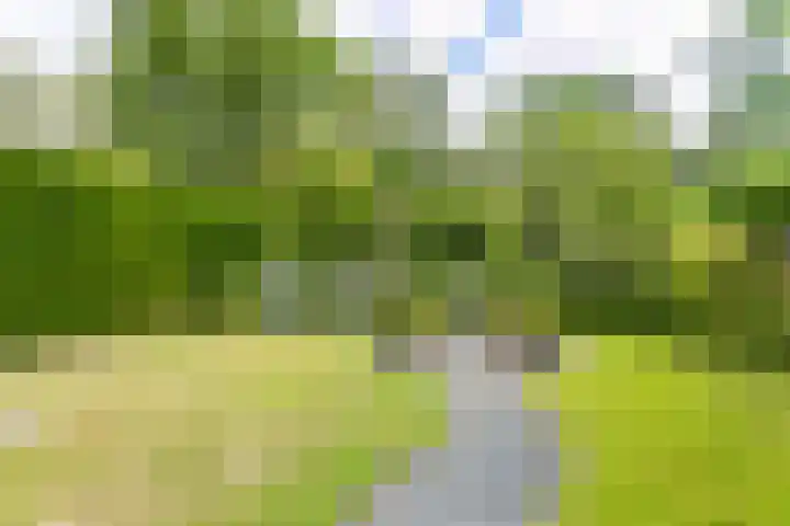 Julianastraat 45 Brunssum thumbnail 45