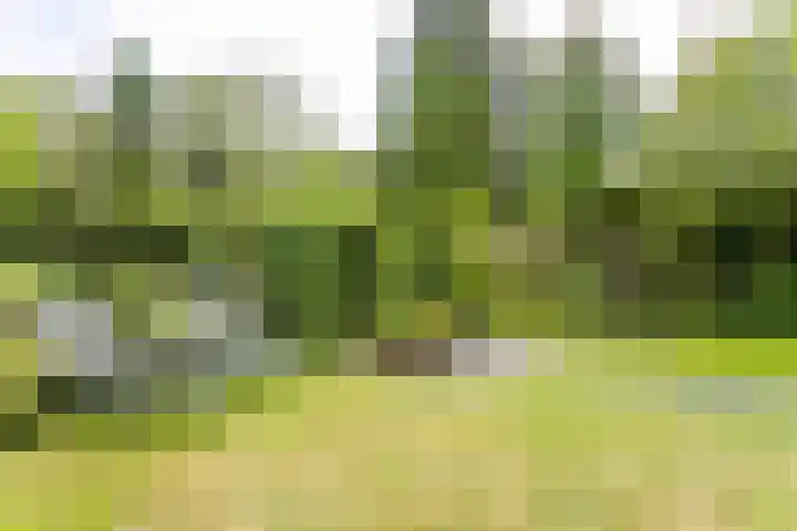 Julianastraat 45 Brunssum thumbnail 46